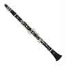 bachclarinet4ever_210385